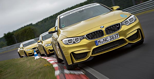 BMW Driving Experience, BMW M Perfection Training