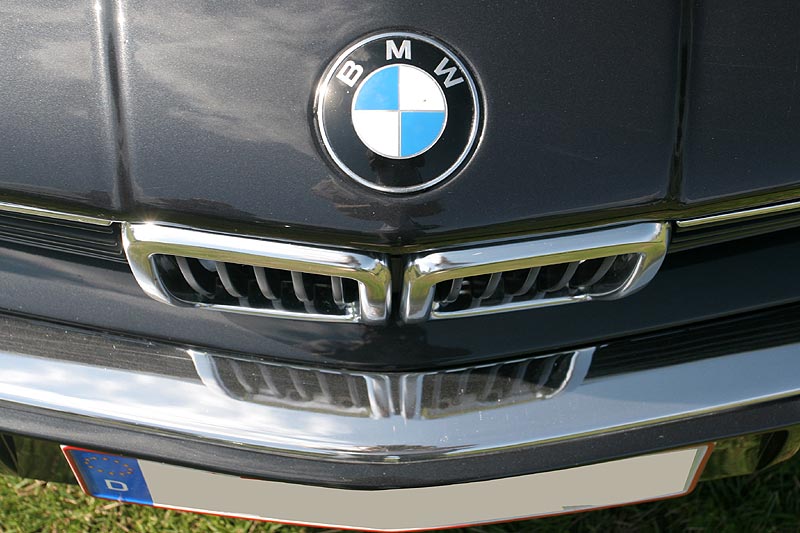 BMW Emblem und Niere des BMW 745i Highline von Marco Noak