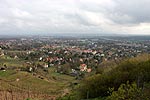 Blick ber Dresden