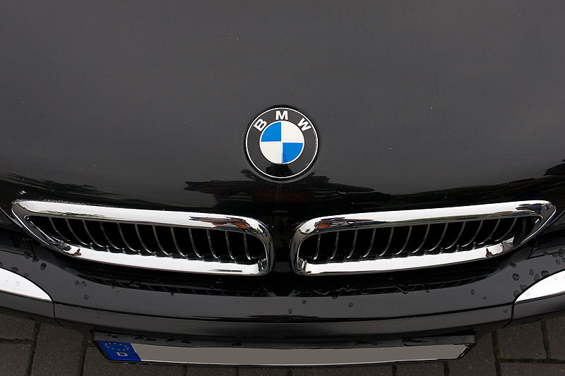 Foto: BMW 730d (E38) von Michael ('virgo') mit 7er-Community  Kennzeichenhalter (vergrößert)