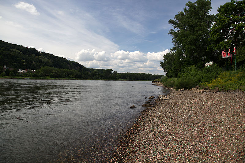 Rhein-Ufer an den Maximilians Brauwiesen