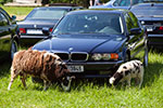 BMW 7er Parkplatz in Eigeltingen