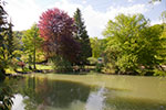 Teich auf dem Gelände der Lochmühle in Eigeltingen