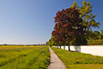 am Schloss Salem