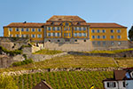 Staatsweingut, Meersburg, heute genutzt vom Droste-Hülshoff-Gymnasium