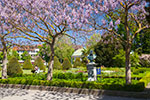 an der Ufer-Promenade in Friedrichshafen
