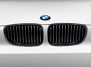 Original BMW Zubehör - BMW Performance Niere für das BMW 1er Coupé 