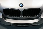 BMW X6 Niere