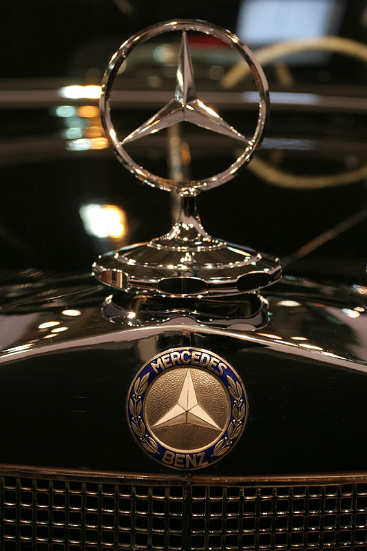 Mercedes Stern