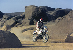 Paris-Dakar 1984, BMW R 80 G/S