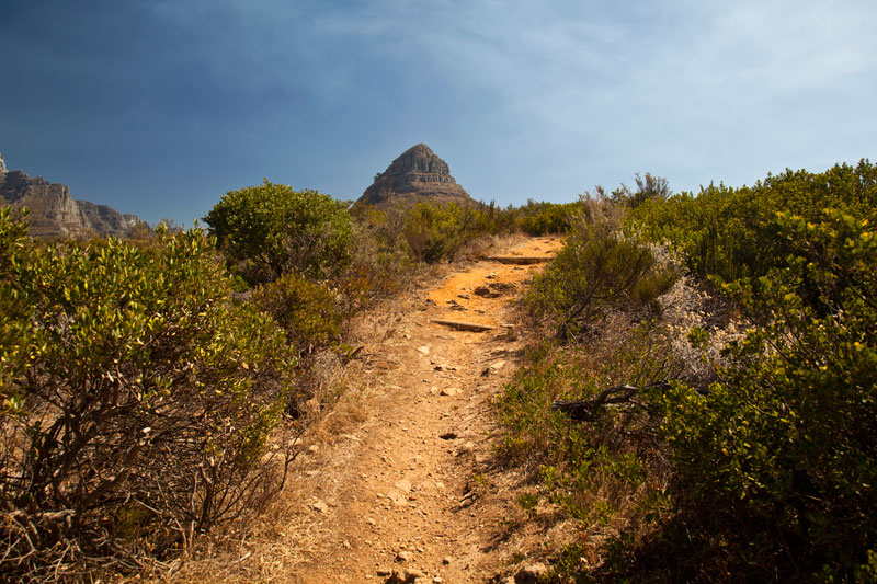 Weg zum Aussichtspunkt auf dem Signal Hill, Kapstadt, S�d-Afrika.