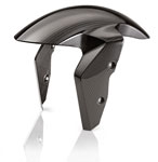 HP Carbon Radabdeckung vorn fuer BMW S 1000 RR