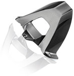HP Carbon Radabdeckung hinten fuer BMW S 1000 RR