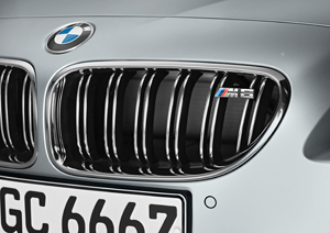 BMW M6 Gran Coupe, spezifische M6-Niere mit M6-Logo