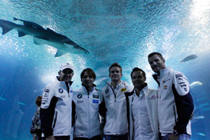 Joey Hand (US), Augusto Farfus (BR), Dirk Werner (DE), Andy Priaulx (GB) und Martin Tomczyk besuchen das Oceanografic Valencia