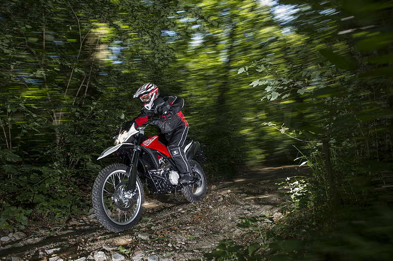 Husqvarna TR 650 Terra
