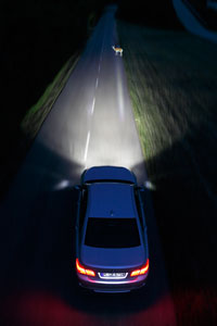 BMW ConnectedDrive: Night Vision mit Dynamic Light Spot und Tiererkennung