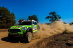 Rallye Dakar 2013, Tag 14