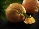 PureCare inspired by BMW i, Orange und Orangenschale, Leder- und Polsterreiniger mit Bio-Orangenölextrakt, ökologische Reinigungsprodukte, Pure Care