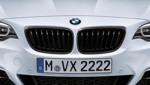 BMW 2er Coupé (F22), BMW M Performance, Frontziergitter Schwarz.
