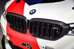 BMW M5 MotoGP Safety Car, Niere mit Doppelstben