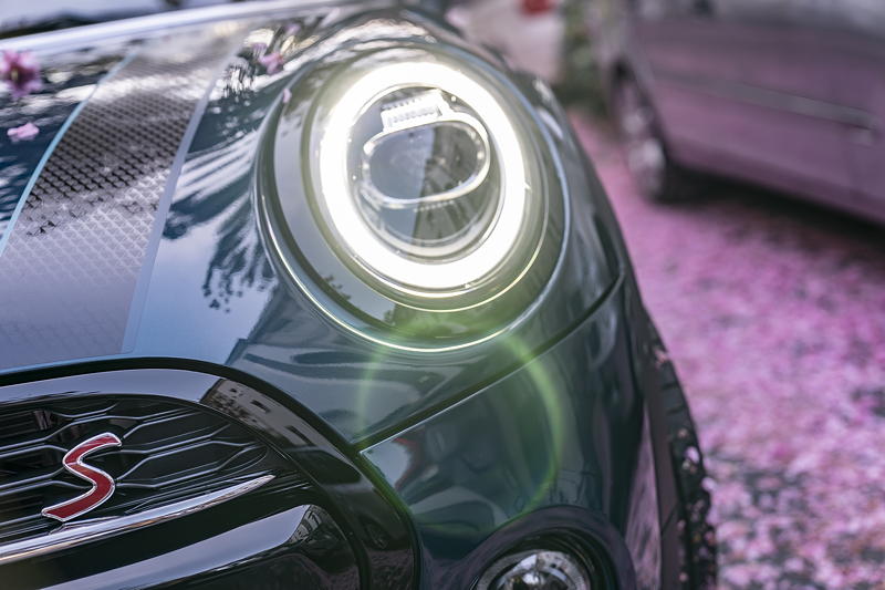 Faszinierende Fr�hlingsboten: Das neue MINI Cabrio Sidewalk und die Farbenpracht der Kirschbl�te.