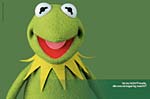 BMW 1er Kampagne Prinzip Freude (Deutschland): Printmotiv "Kermit"