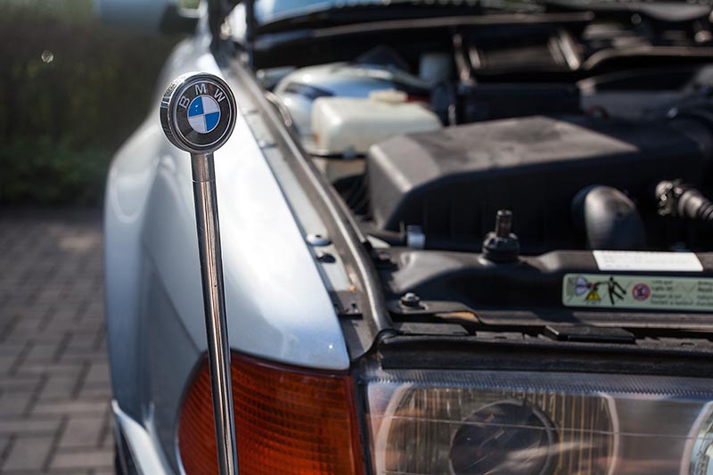 Standartentrger mit BMW Logo am BMW L7 (E38)