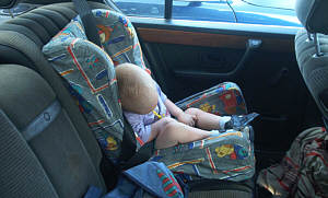 Das jngste Forumsmitglied!