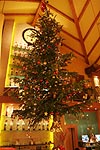 an der Decke aufgehängter Weihnachtsbaum im Café del Sol