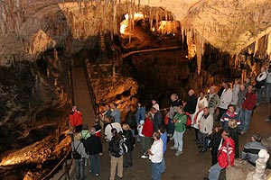 am dritten Tag besuchten die Teilnehmer die Postojna Höhle in Slowenien