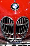 BMW Niere und Logo