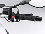 BMW G 650 GS, Griff mit Spiegel rechts