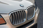 BMW X3 xDrive35i (F25), BMW Niere