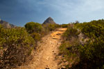 Weg zum Aussichtspunkt auf dem Signal Hill, Kapstadt, Süd-Afrika.