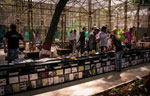 Voraberffnung des BMW Guggenheim Lab Mumbai fr Presse am 6. Dezember 2012 am Hauptstandort des Lab