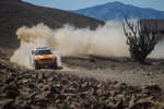 Rallye Dakar 2013, Tag 13