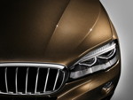 BMW Individual Lackierung Pyritbraun metallic