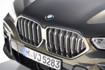 BMW X6 - Niere, optional beleuchtet