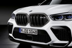 BMW X6 M, M Performance Frontziergitter Carbon