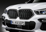 BMW X6, M Performance Frontziergitter Carbon