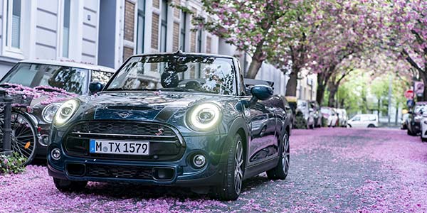 Faszinierende Fr�hlingsboten: Das neue MINI Cabrio Sidewalk und die Farbenpracht der Kirschbl�te.