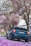 Faszinierende Frhlingsboten: Das neue MINI Cabrio Sidewalk und die Farbenpracht der Kirschblte.
