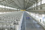 Aluminium Produktion bei Emirates Global Aluminium (EGA)