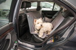 BMW 735i (E38) von Günter ("Aschallnick") mit seinem Hund auf den Fondsitzen 