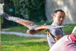 100. Schwaben-Stammtisch, Greifvogel Flugshow am Schloss Schillingsfrst